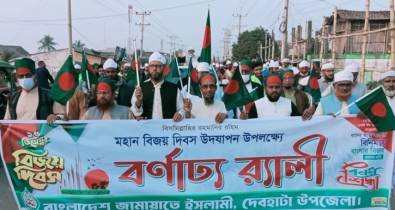 দেবহাটায় জামায়াতের বিজয় দিবস উদযাপন দেবহাটায় জামায়াতের বিজয় দিবস উদযাপন