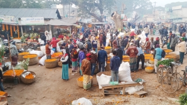 জমজমাট গদখালী ফুলের বাজার জমজমাট গদখালী ফুলের বাজার