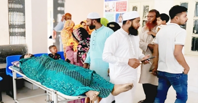 কলারোয়ায় মুরগি খামারের দুর্গন্ধ নিয়ে বিরোধ